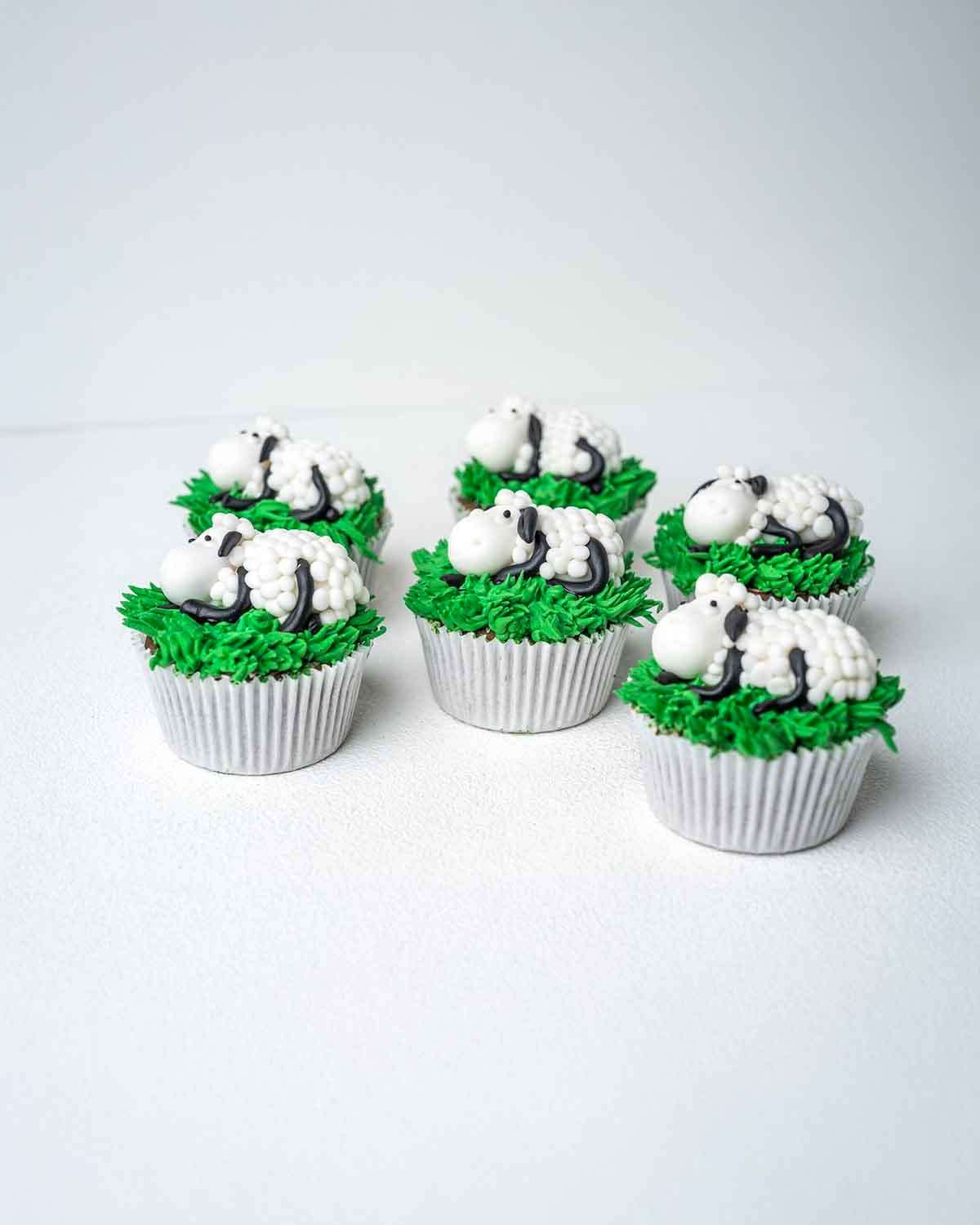 6 Sheep Cupcakes 25 collection