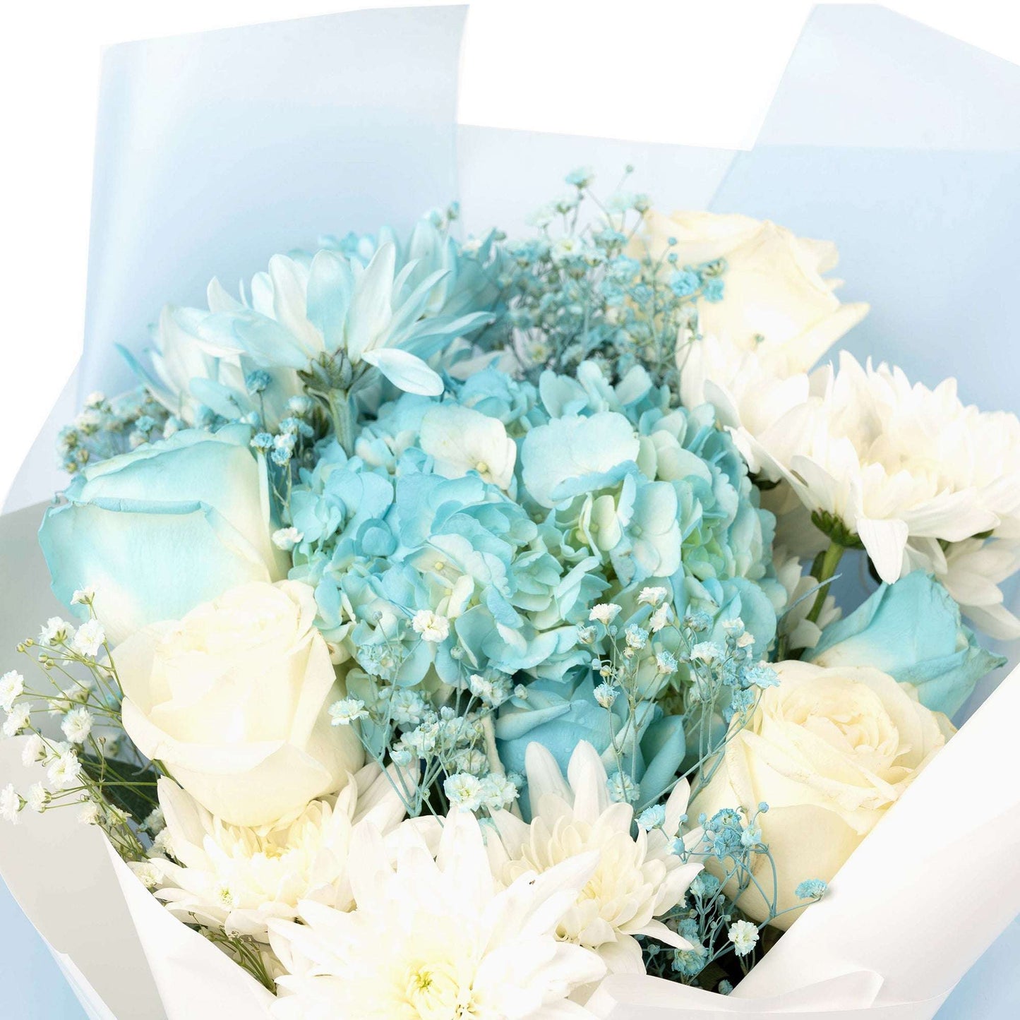 Close-up of blue hydrangea, white roses and chrysanthemums in the bouquet