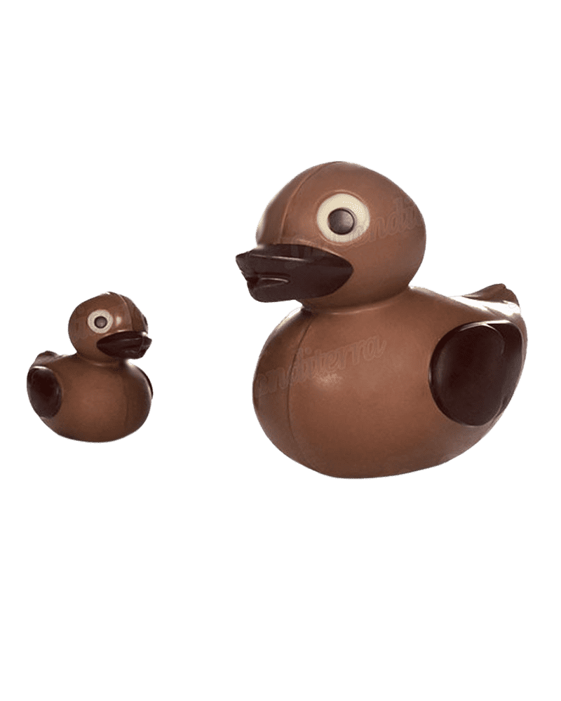 DUCK & LITTLE DUCK