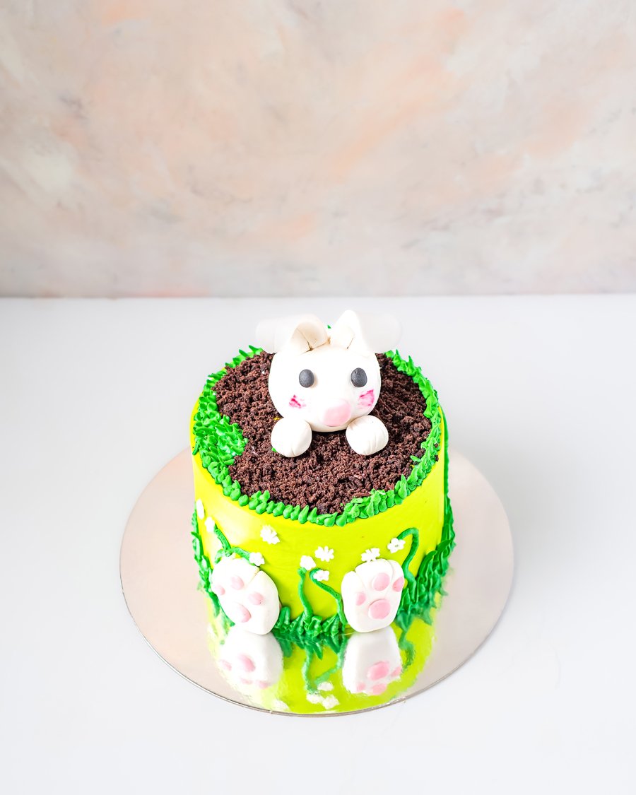 Bunny Cake by NJD
