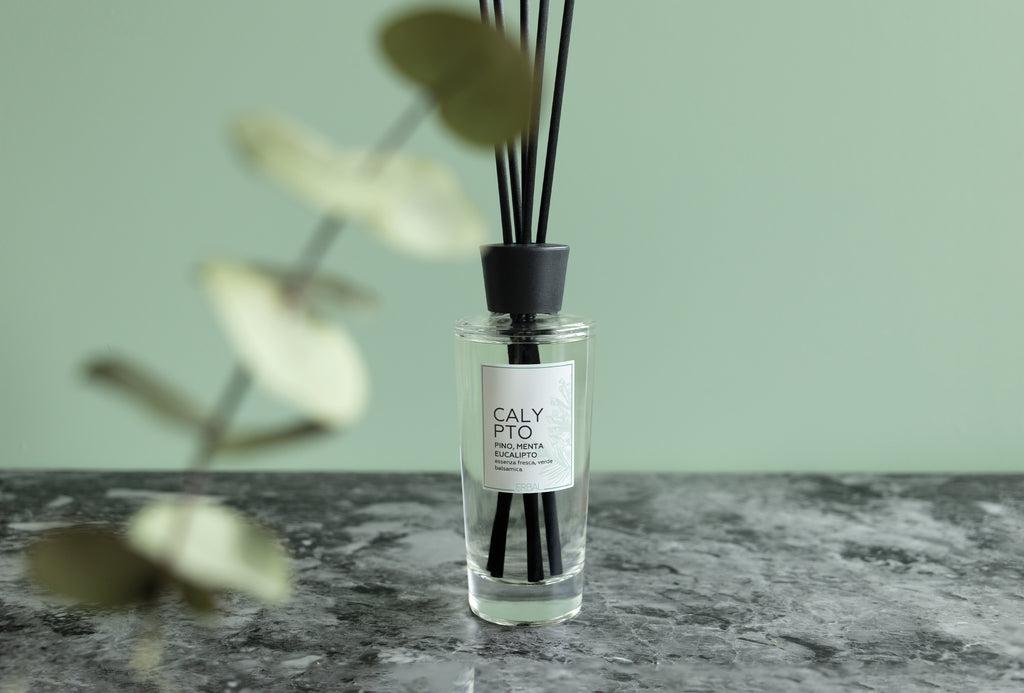 Calypto Diffuser 100ml by Erbal