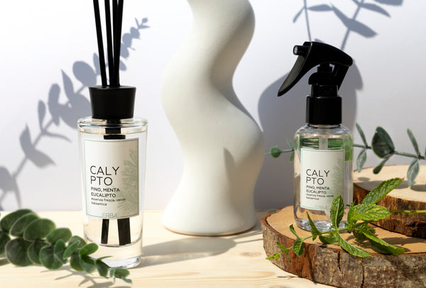 Calypto Diffuser 100ml by Erbal