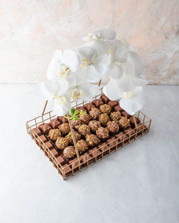 Truffles Overload by NJD