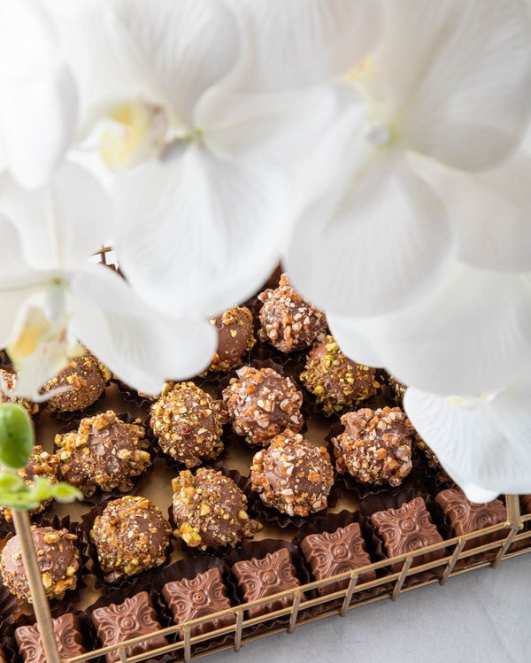 Truffles Overload by NJD