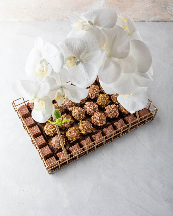 Truffles Overload by NJD