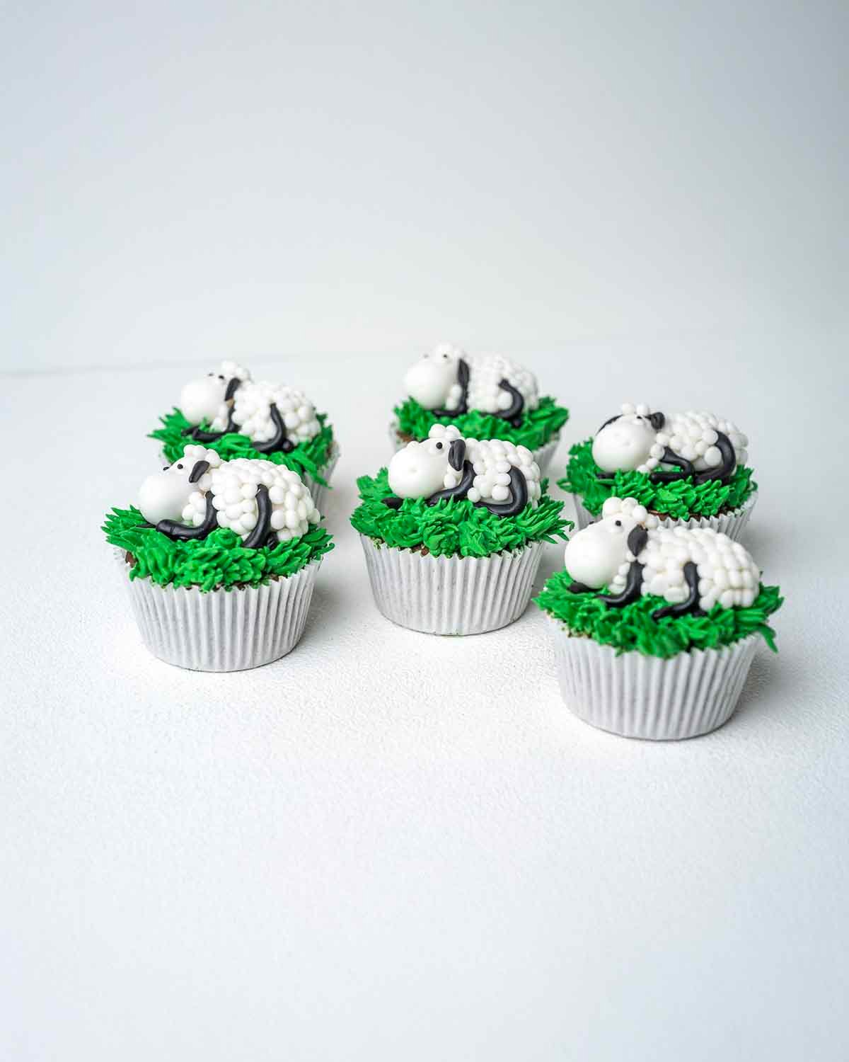 6 Sheep Cupcakes 25 collection