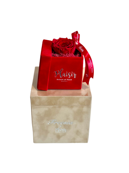 Exquisite Fragrance and Single Infinity Rose Gift Set
