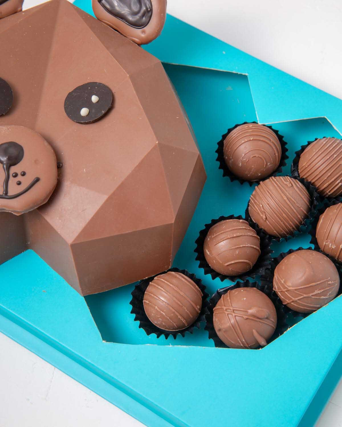 Bear Face Pinata Chocolate
