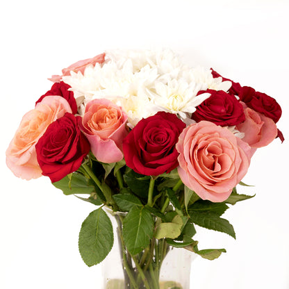 Rose Love Cupcake Bundle