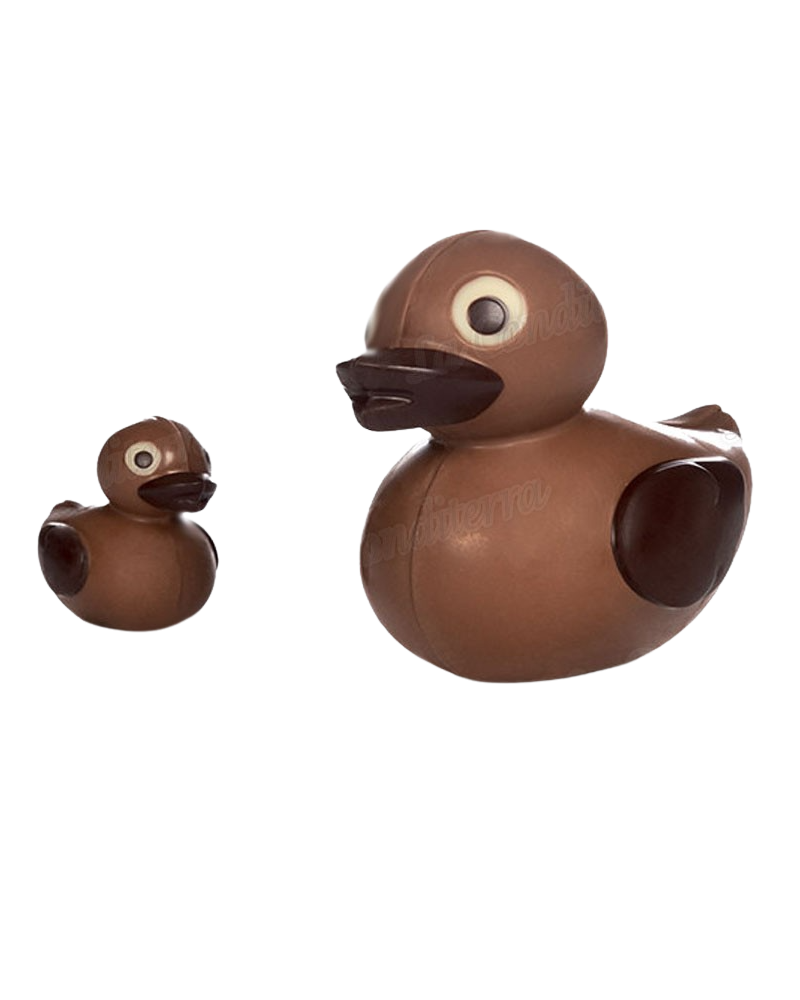 DUCK & LITTLE DUCK