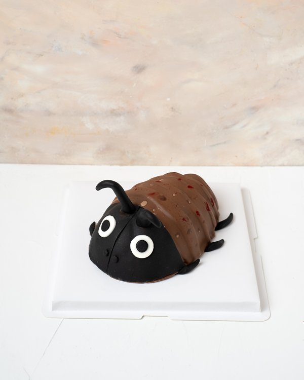Edible Roach Anyone By NJD