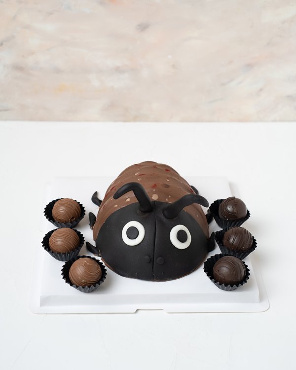 Edible Roach Anyone By NJD