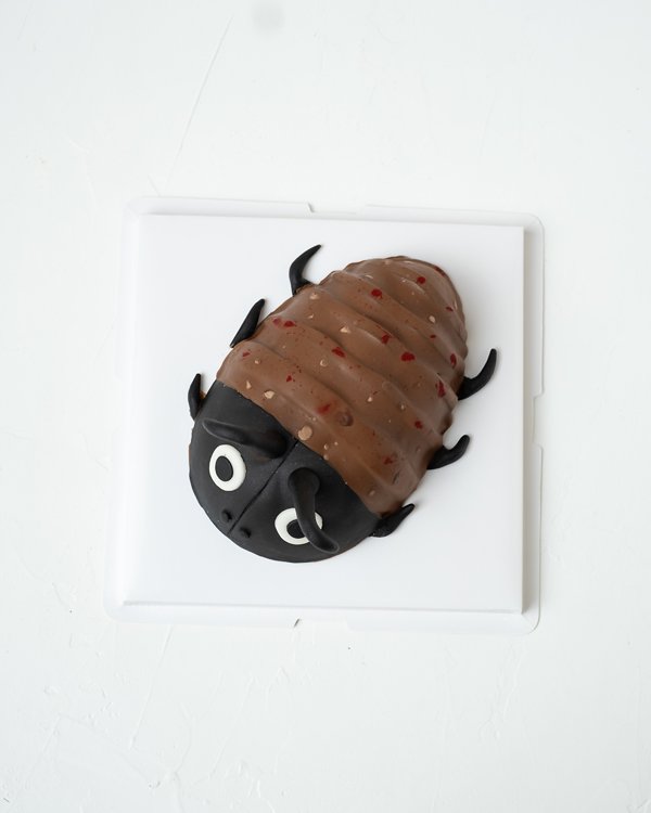Edible Roach Anyone By NJD