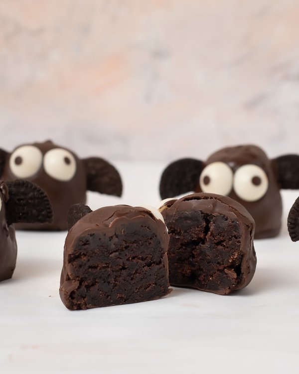 Chocolate Bat Cake Pops by NJD