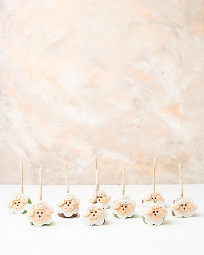 EID Special Cake pops by NJD