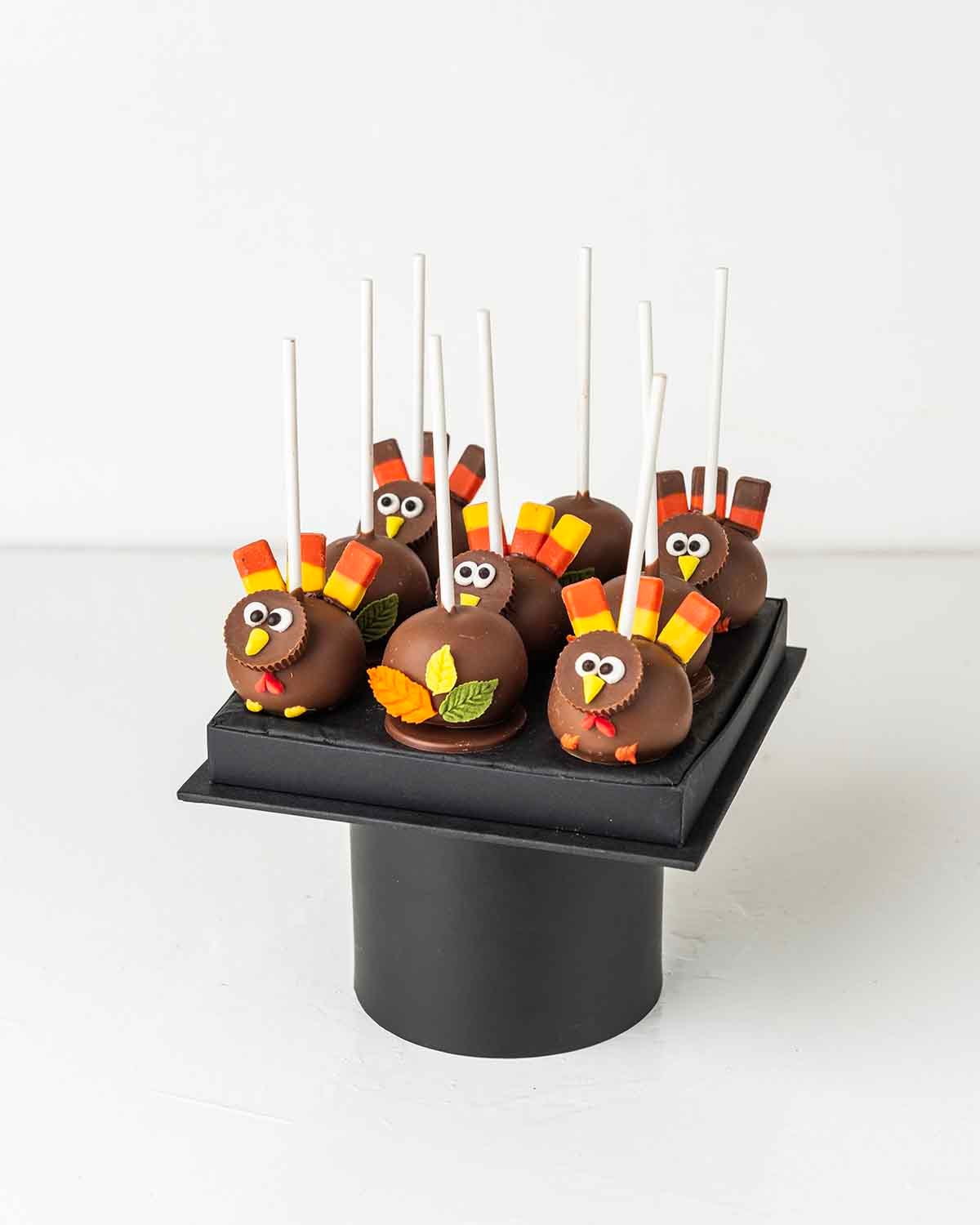 Turkey theme Cake pops