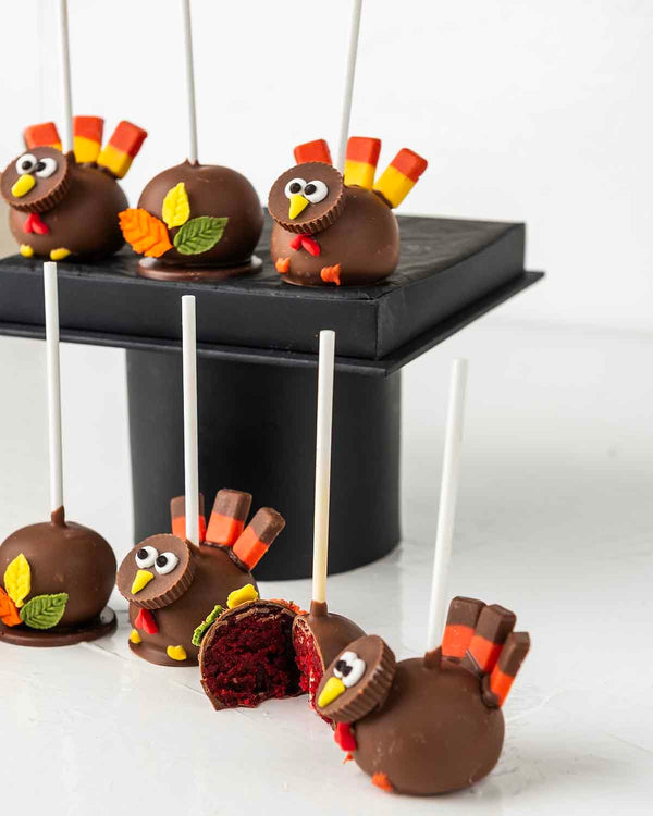 Turkey theme Cake pops