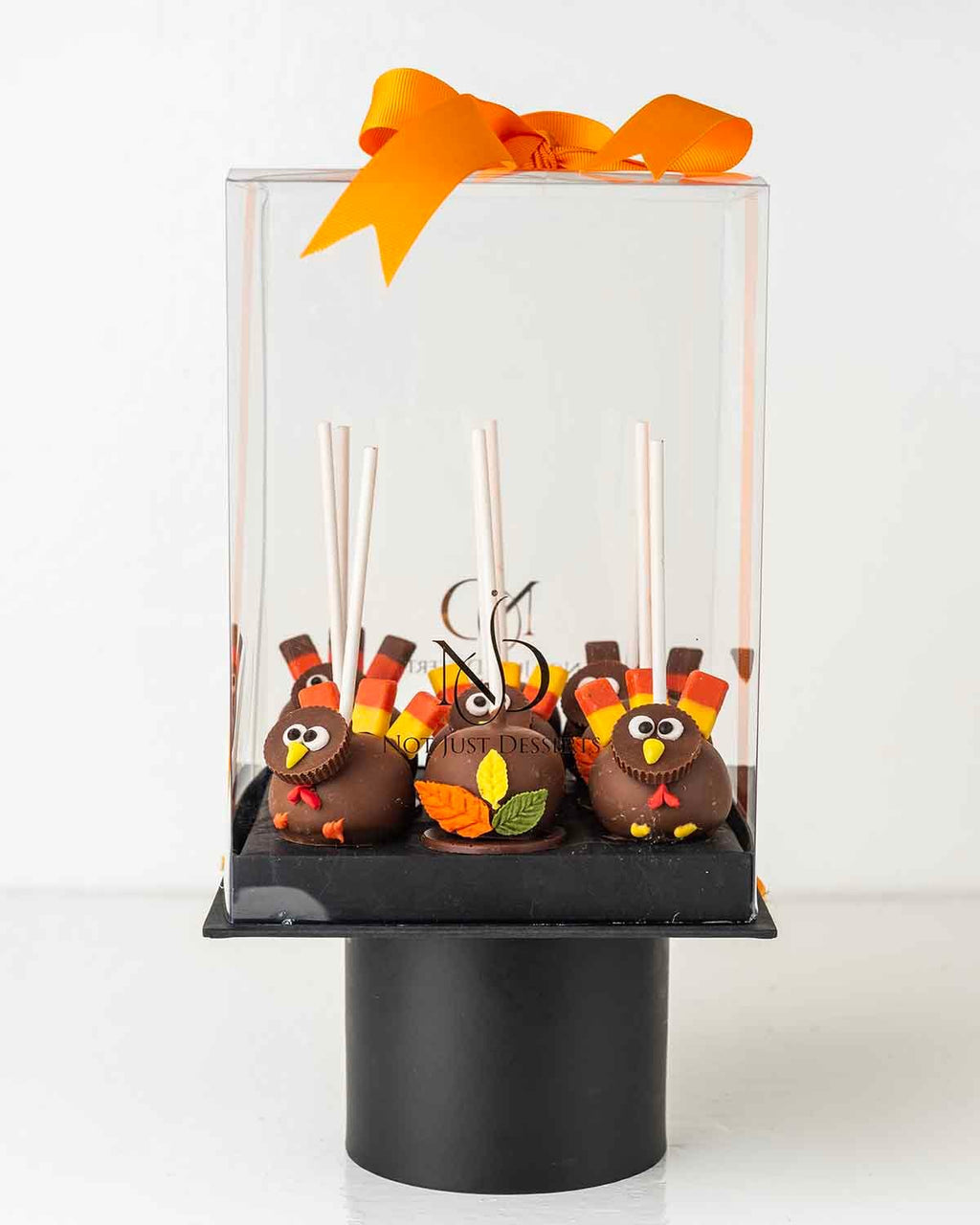 Turkey theme Cake pops