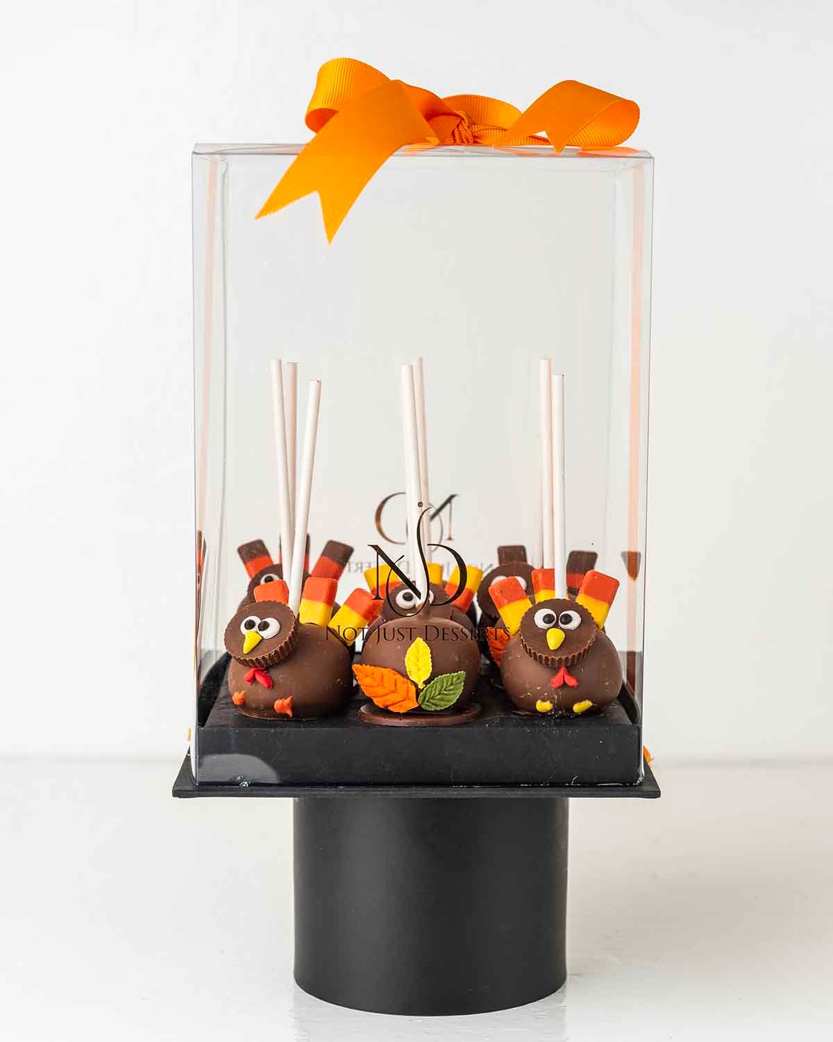 Turkey theme Cake pops