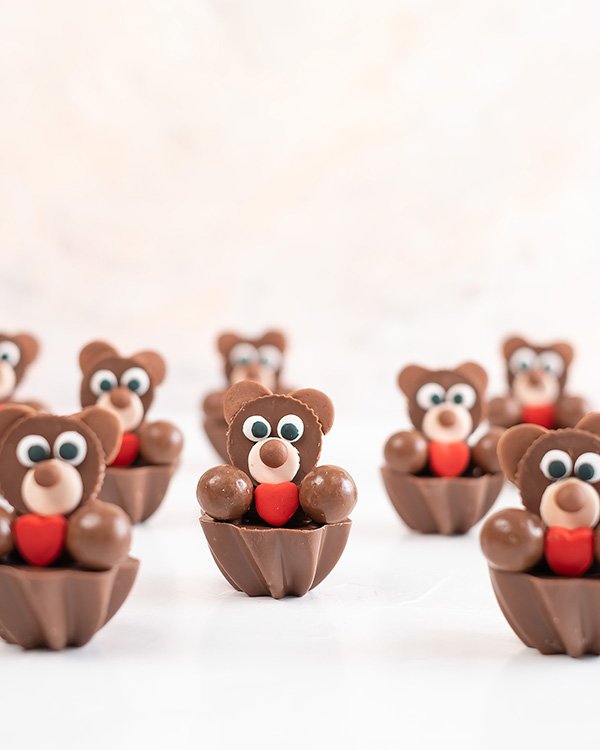 9 Assorted Chocolate Teddies by NJD
