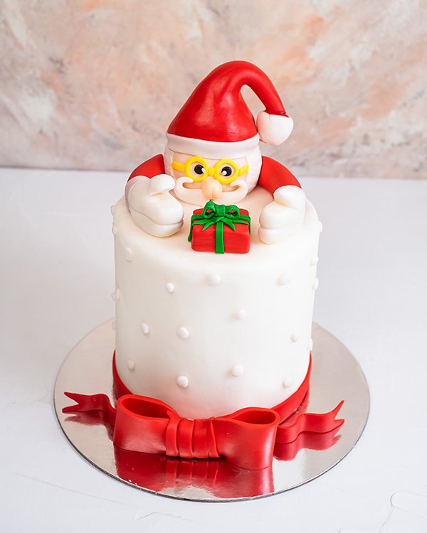 Santa Cake by NJD