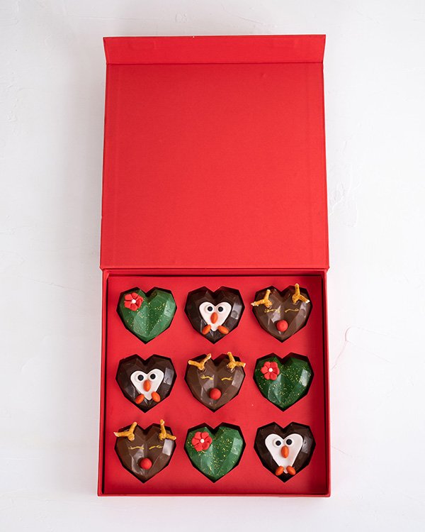 9pcs Assorted Christmas Collection by NJD