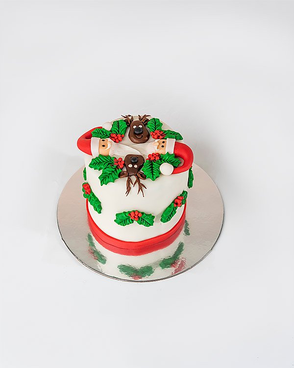 Christmas Special Cake by NJD
