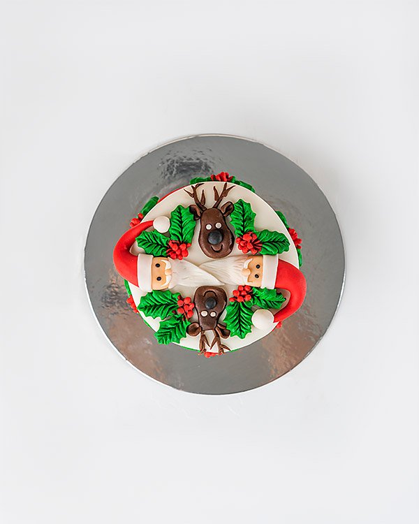 Christmas Special Cake by NJD