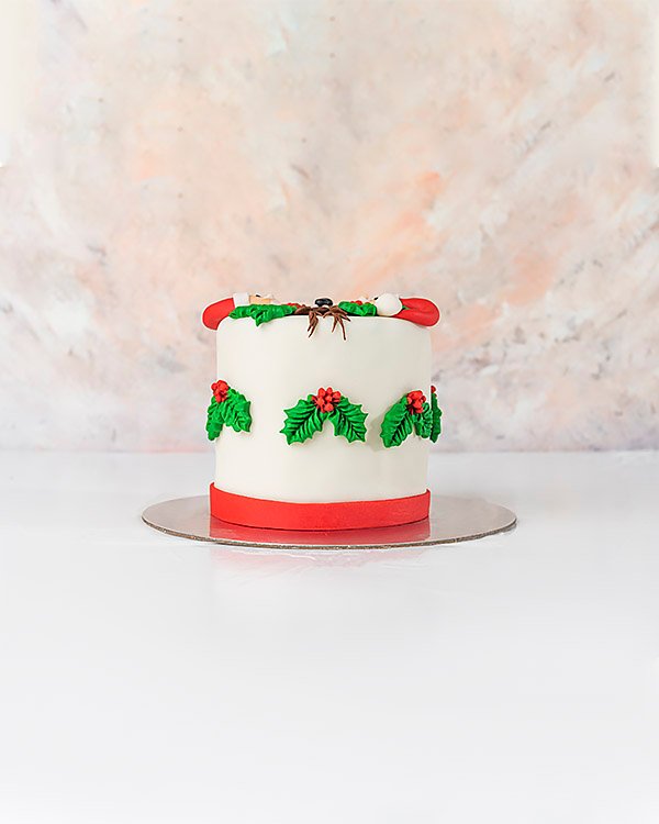 Christmas Special Cake by NJD
