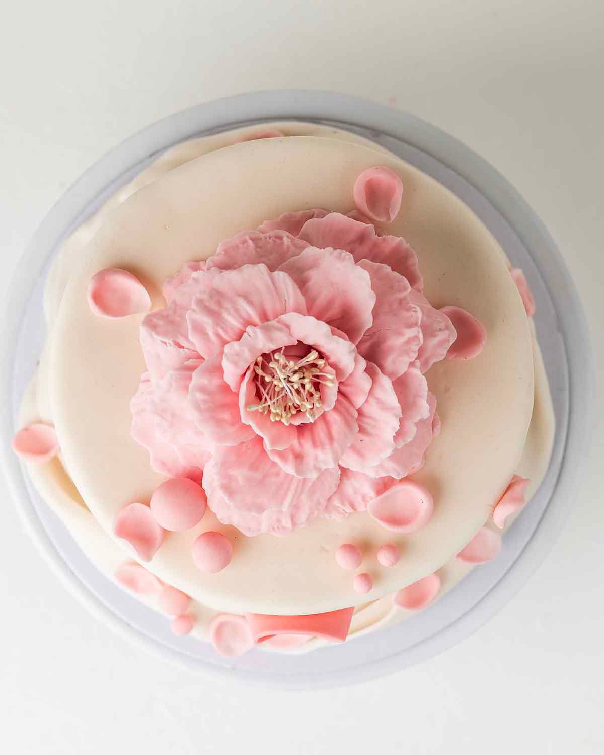 Bow of Hope Cake by NJD