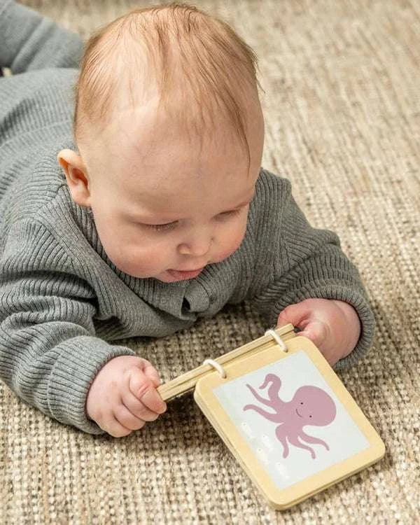 Play And Learn Box 6-12 Months
