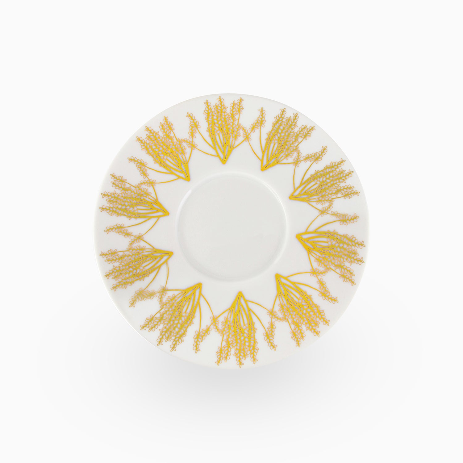 Tamrah S/2 Porcelain Teacups and Saucers