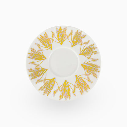 Tamrah S/2 Porcelain Teacups and Saucers