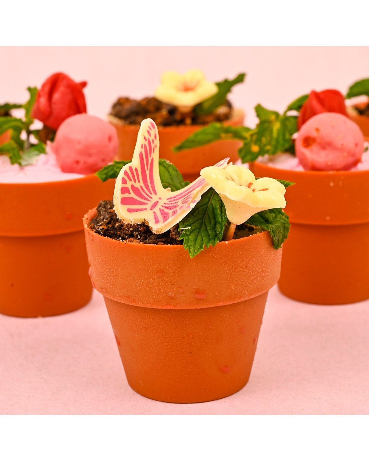 Edible Plants by NJD