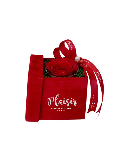 Exquisite Fragrance and Single Infinity Rose Gift Set