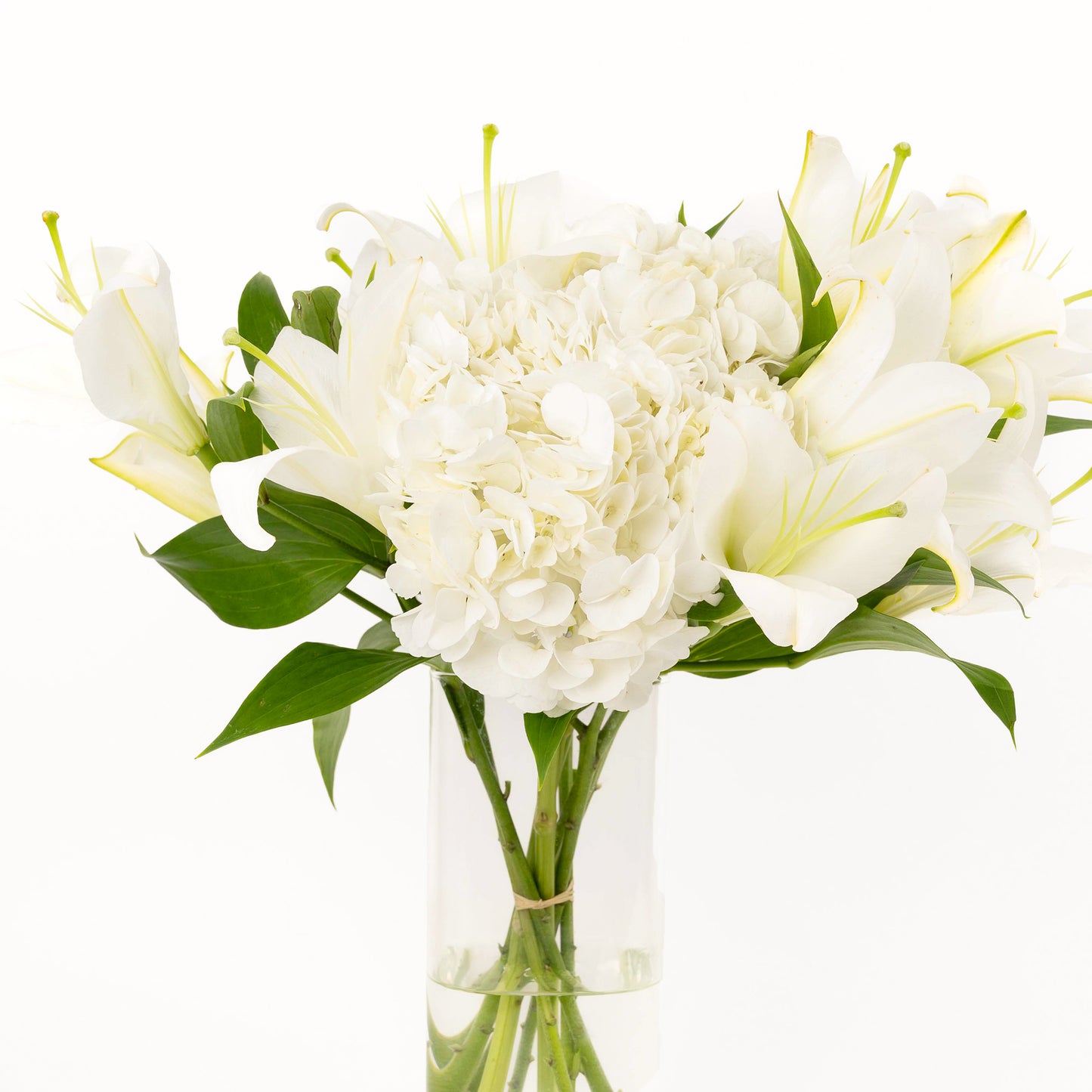 White Lily Gratitude Gift