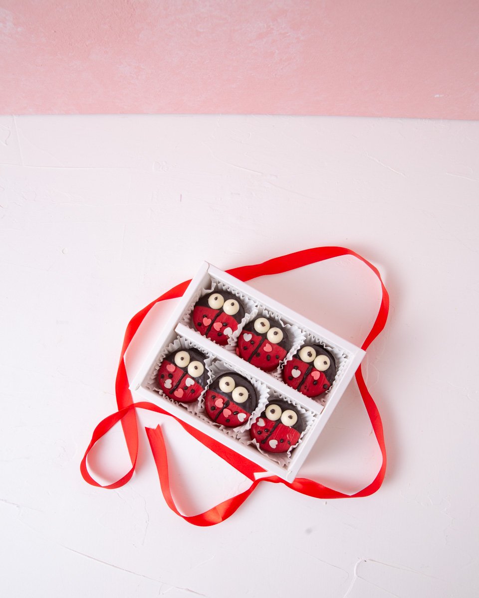 6pcs Love Bug