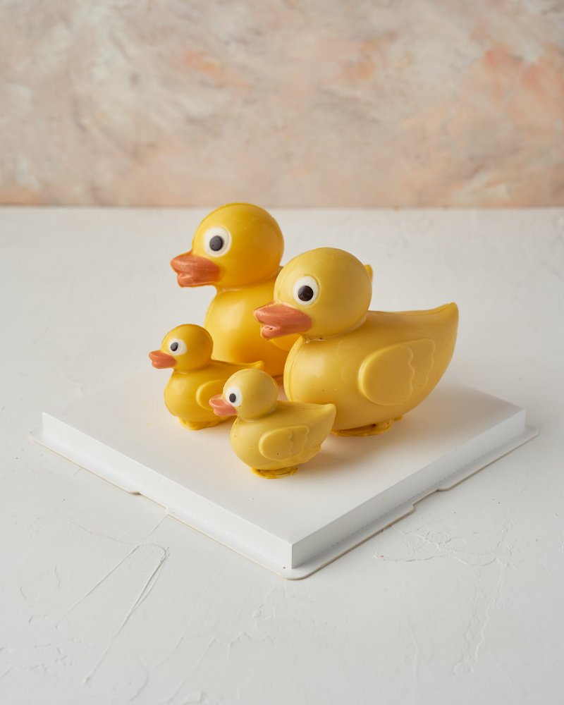 Chocolate Duck