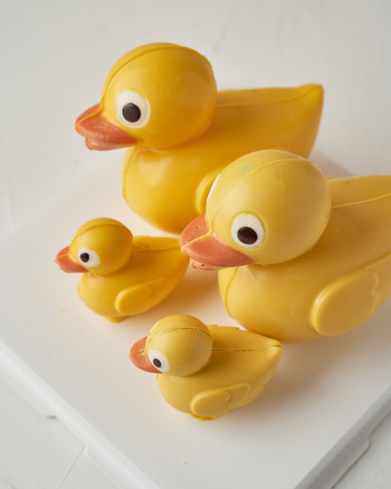 Chocolate Duck - Image 2