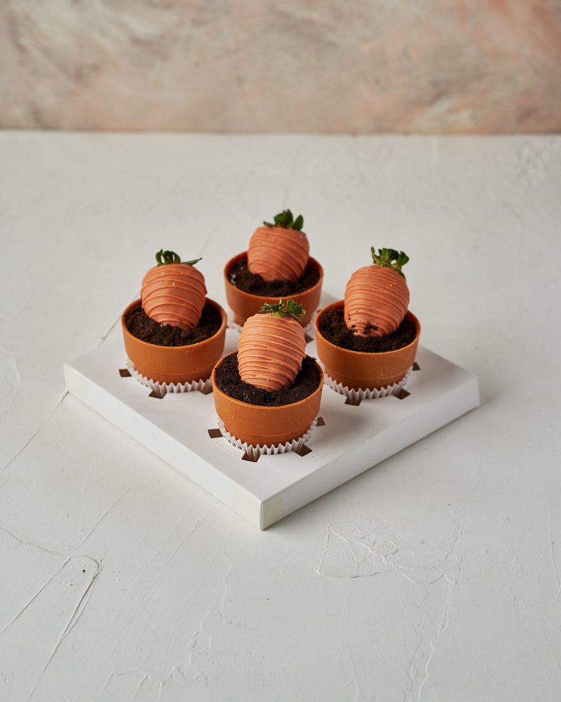 Carrots and Cakes