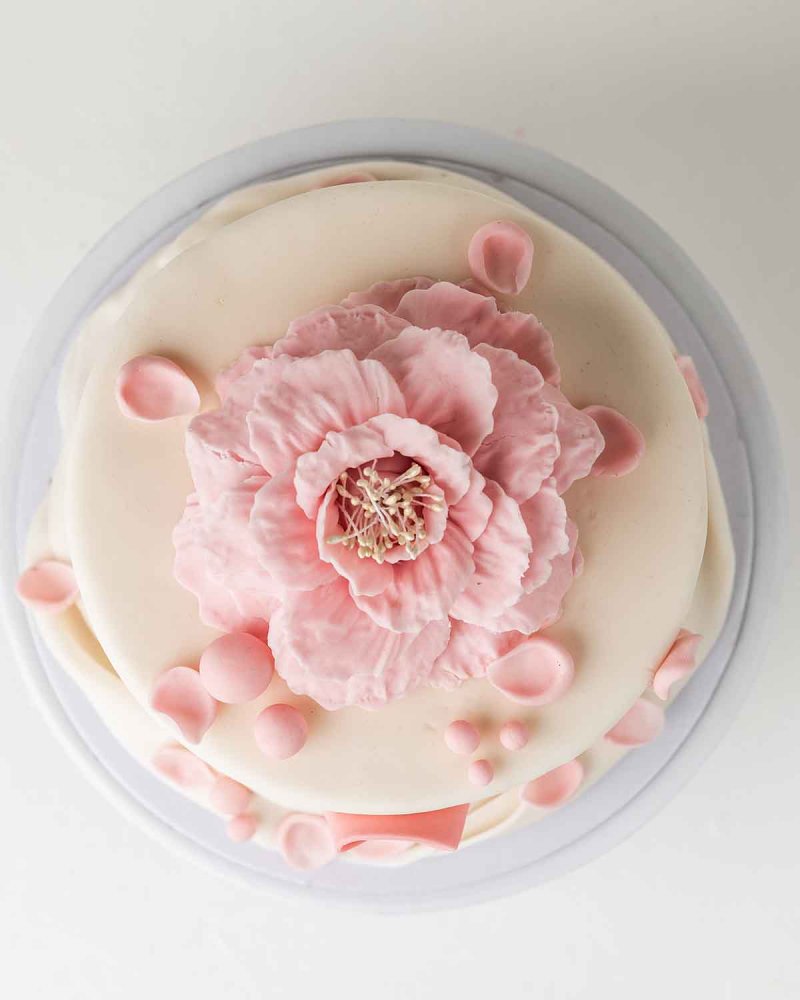 Bow of Hope Cake by NJD - Image 3